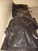 Agcorpse_1 Agcorpse_1