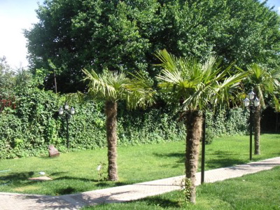 Tashkentuzbekistan330pm