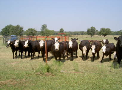 Porterok1130am Porterok1130am