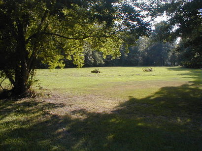 Pinebluffarkansas540pm