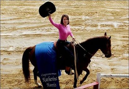 Pinkharrishorsethumb