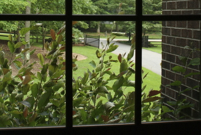 Rockymountnc10am Rockymountnc10am