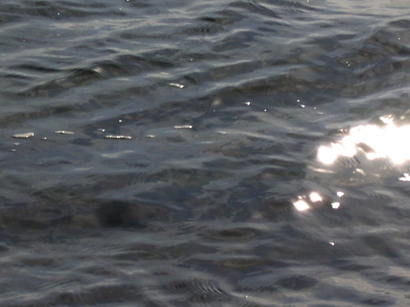 Lightonwater1 Lightonwater1