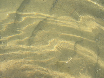 Sandripples1 Sandripples1