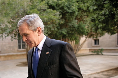 Bushbrookskraftcorbisfortime_3 Bushbrookskraftcorbisfortime_3