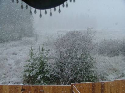 Fridayharborwa1030am