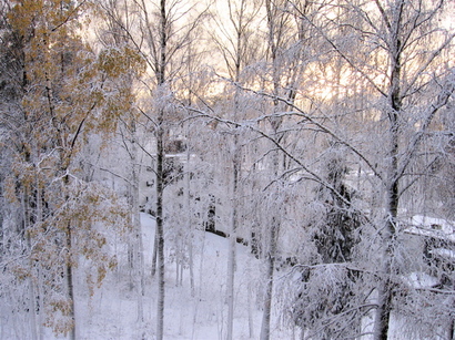 Helsinkifinland5pm Helsinkifinland5pm