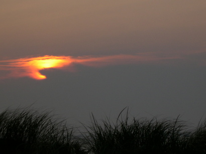 Herringcovesun Herringcovesun