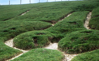 Cerneabbas Cerneabbas