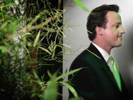 Cameronpetermacdiarmidgetty