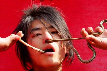 Snakecharmerguangniugetty