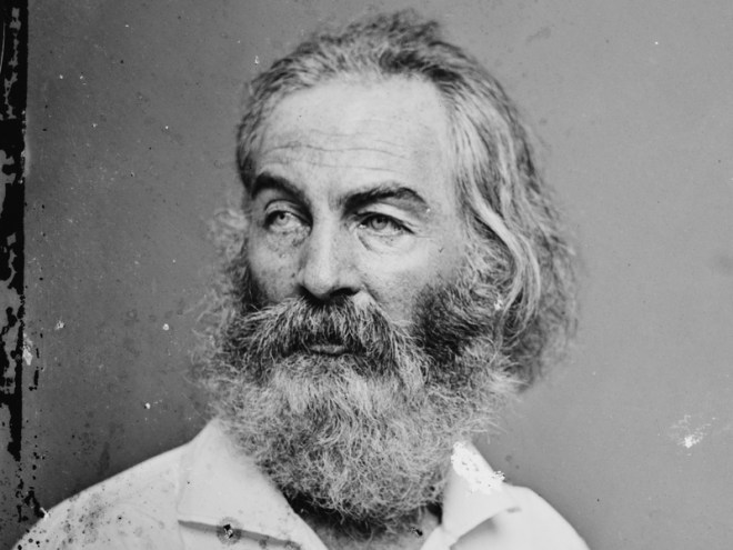 whitman.jpg