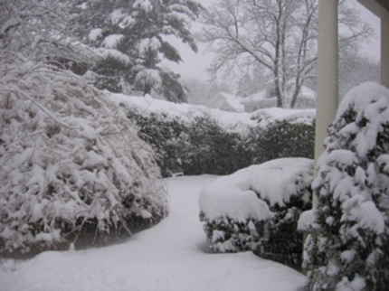 Bangorme7am Bangorme7am