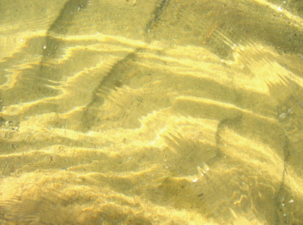 Sandripples