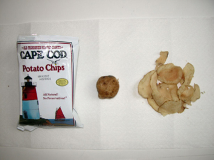 Capecodchips
