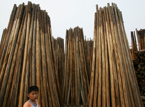 Timberchinaphotosgetty_2