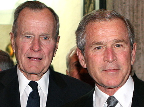 Bushesalbertopozzoligetty