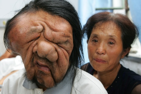 Elephantchinaphotosgetty Elephantchinaphotosgetty