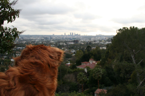 87144771_bb6c328bb8_b