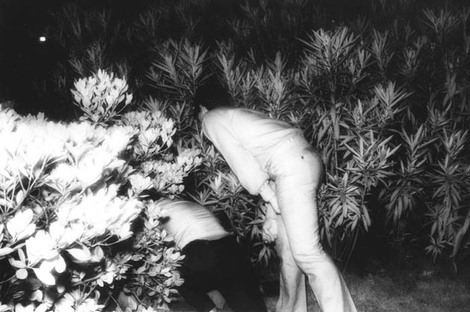 18_untitled19716272 18_untitled19716272