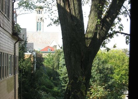 Statenislandny12noon