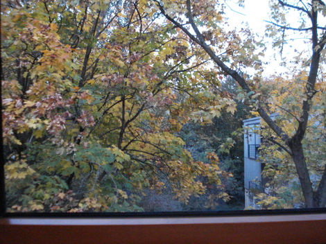 Freiburggermany530pm