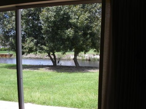 Lakeplacidfloridanoon