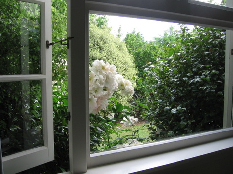 Christchurchnewzealand10am