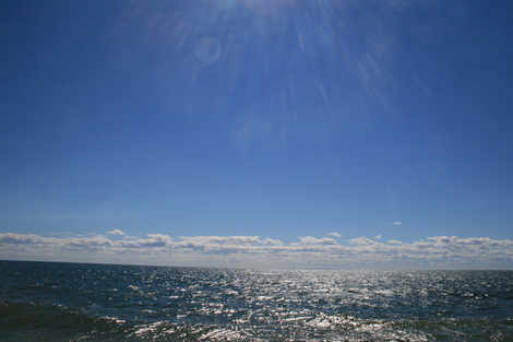 Sunhatches Sunhatches