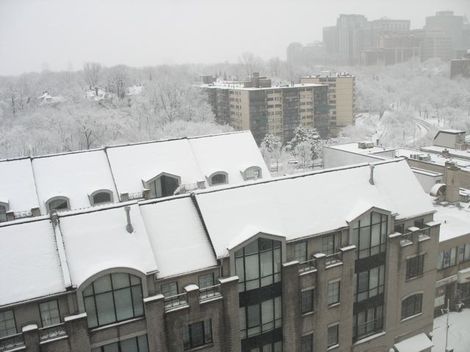 Torontocanada12pm Torontocanada12pm