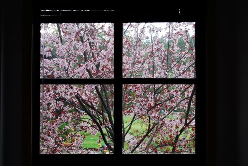 014-Pebblebeachca820am