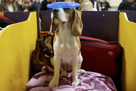 Daisychrismcgrathgetty