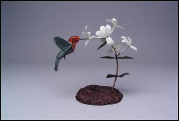 Hummingbird Hummingbird