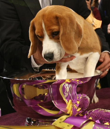 Unotimothyaclarygetty