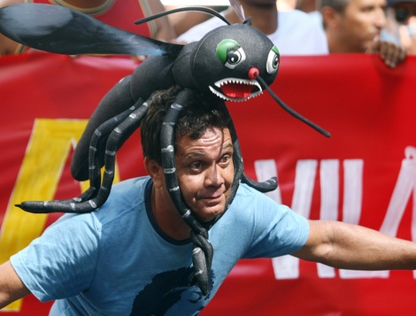 Brazilianvanderleialmeidagetty2