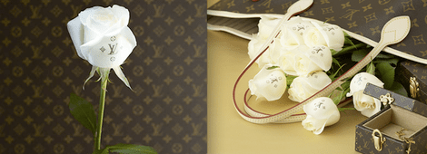 Louisvuitton_rose