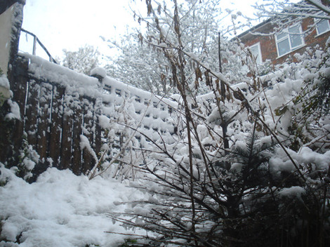 Brightonsussexengland6am