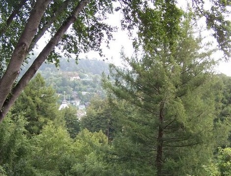 Millvalleycalifornia9m