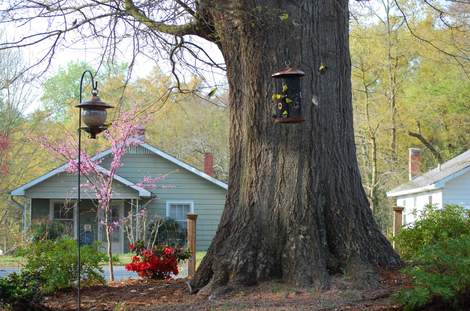 Pendletonsouthcarolina930am