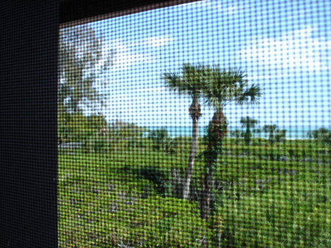 Sanibelislandfl355pm