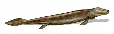 Tiktaalik_bw