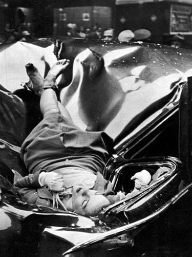 Evelynmchale Evelynmchale