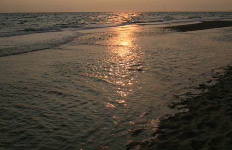 Herringset Herringset