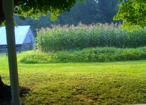 Ponca_arkansas702pm Ponca_arkansas702pm