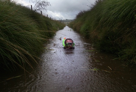 Snorkelmattcardygetty Snorkelmattcardygetty