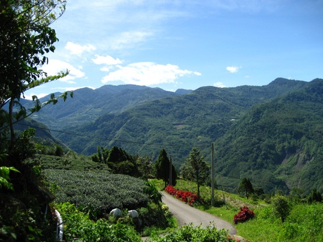 Alishantownshipchiayicountytaiwan95