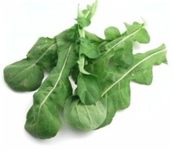 Arugula_300