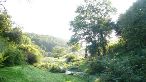 Framptonmansellengland8am