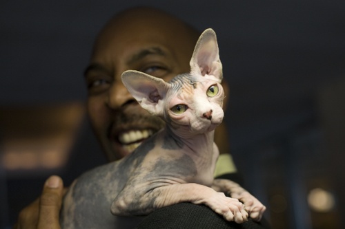 Mollymichaelnaglegetty