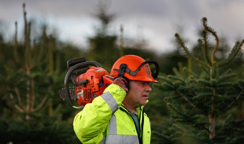 Buchlyviejeffjmitchellgetty